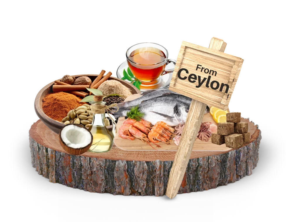 Best imports from Sri Lanka