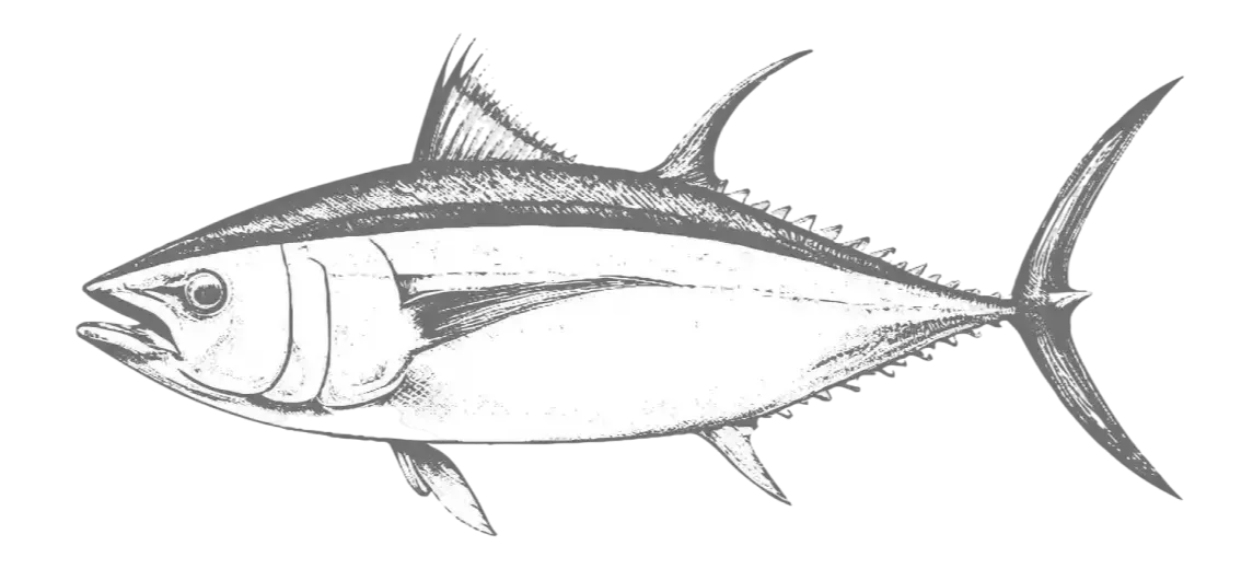 Tuna